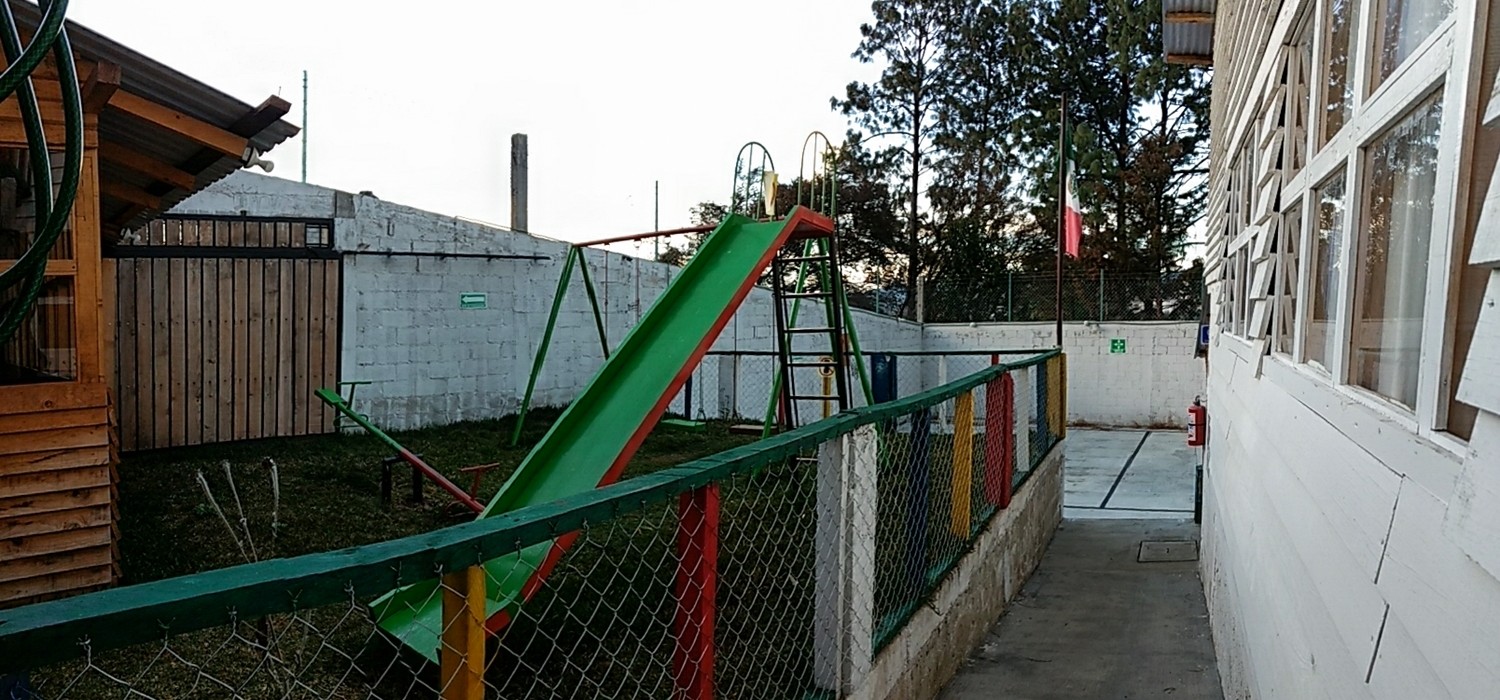 Area verde escuela primaria